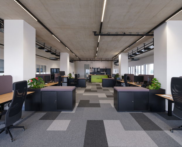 Großer Open-Space-Bereich mit strukturiert angeordneten Arbeitsplätzen, Pflanzen und Sichtachse Richtung Aufenthaltszone.